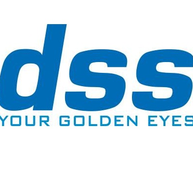 Logo Công ty Cổ phần Giải pháp Dịch vụ Số